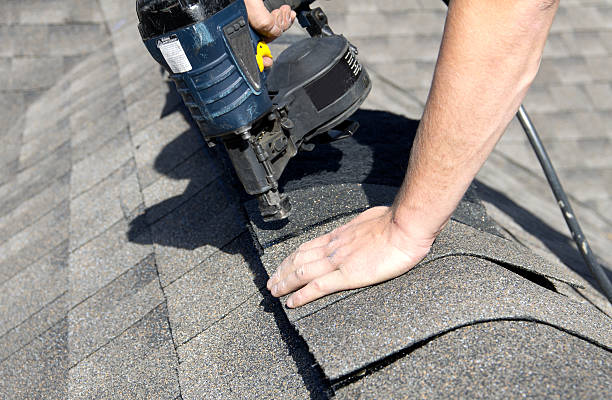 Best Roof Moss and Algae Removal  in Fultonde, AL